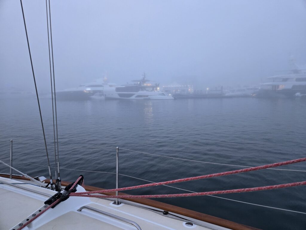 newport fog