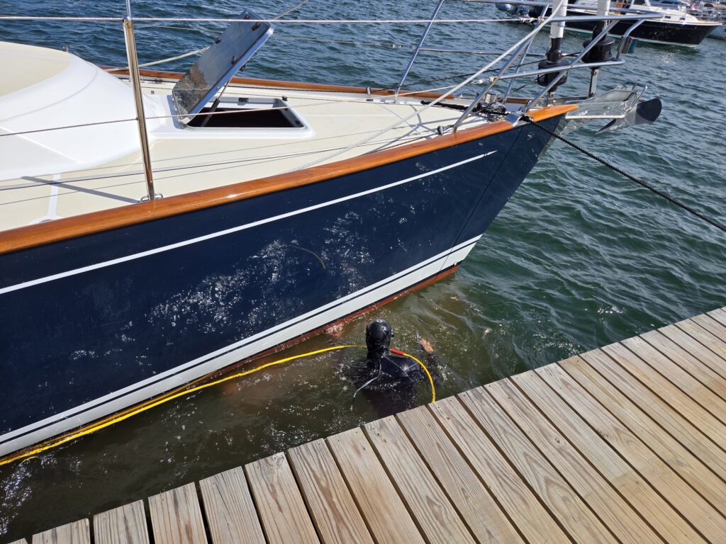 divers cleaning bottom