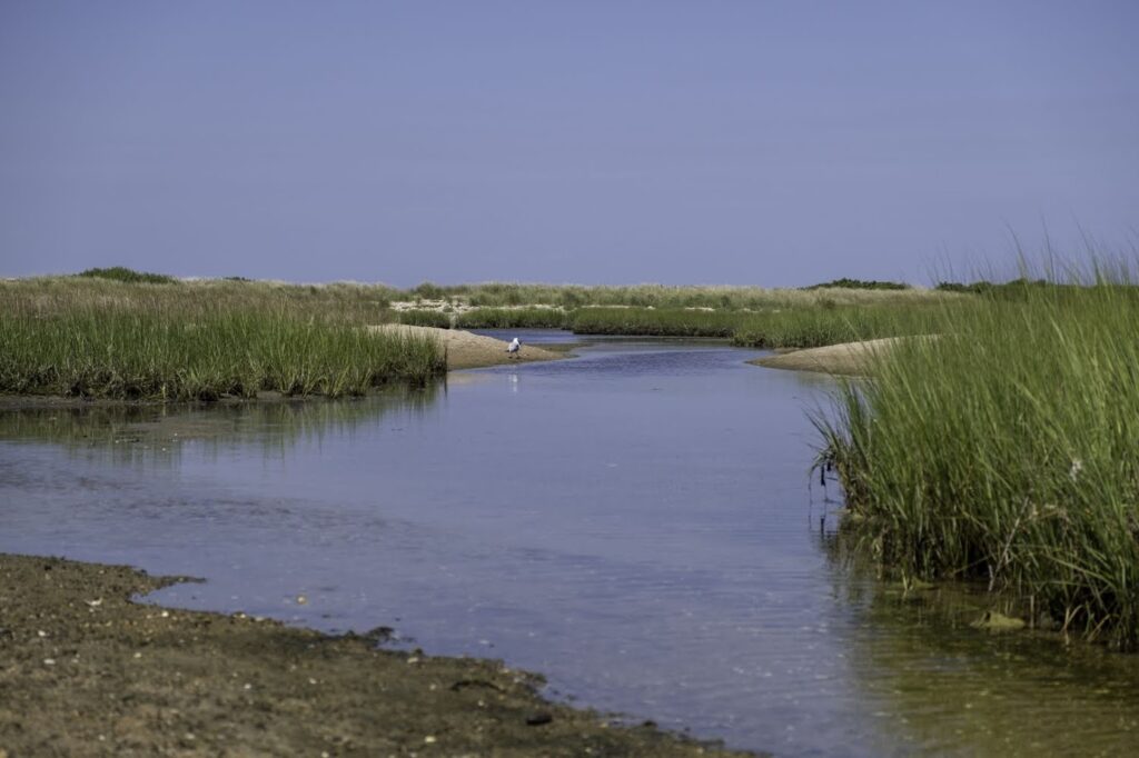 tide pool block island