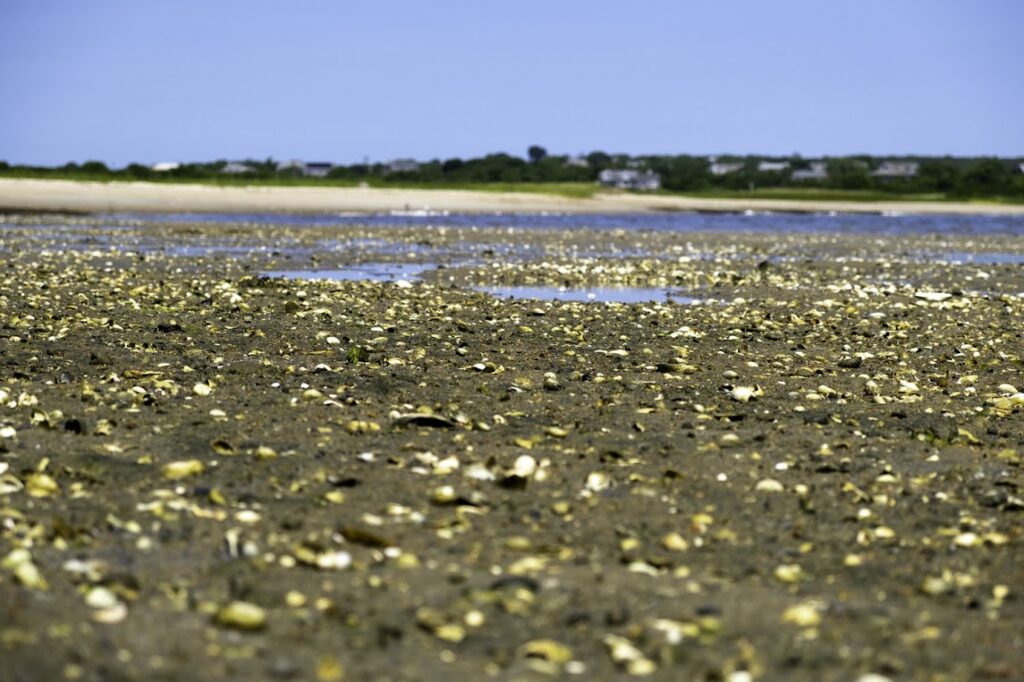 low tide at block island
